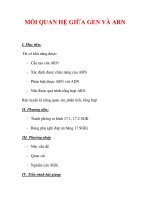 Giáo án Sinh học lớp 9 : Tên bài dạy : MỐI QUAN HỆ GIỮA GEN VÀ ARN potx