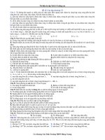 Tài liệu ôn tập Vật lý 12 nâng cao Đề số 2 ôn tập chương VI pot