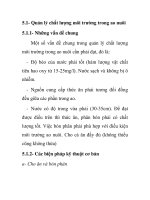 Quản lý chất lượng môi trường trong ao nuôi potx