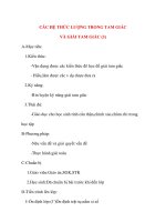 Giáo án Hình Học lớp 10: CÁC HỆ THỨC LƯỢNG TRONG TAM GIÁC VÀ GIẢI TAM GIÁC (3) pps