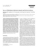 Báo cáo khoa học: 