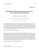 Báo cáo khoa học: 