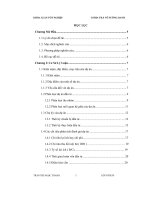 Phân tích dự án đầu tư trồng mới chè Đài Loan