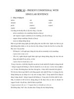 TOPIC 13 – PRESENT CONDITIONAL WITH SINGULAR SENTENCE pot