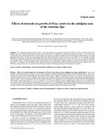 Báo cáo lâm nghiệp: 