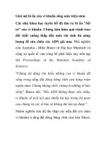 Giải mã bí ẩn của vi khuẩn sống nửa triệu năm ppt