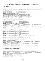 ly thuyet amin amino axit pps