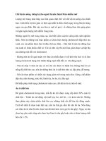 Chế độ ăn uống, kiêng kị cho người bị mắc bệnh Máu nhiễm mỡ potx