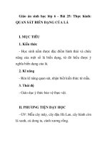 Giáo án sinh học lớp 6 - Bài 25: Thực hành: QUAN SÁT BIẾN DẠNG CỦA LÁ pdf