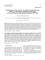 Báo cáo lâm nghiệp: