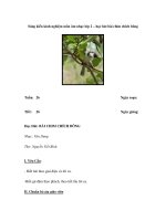 Sáng kiến kinh nghiệm môn âm nhạc lớp 2 – học hát bài chim chich bông doc