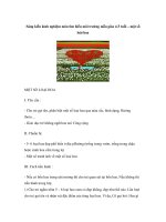 Sáng kiến kinh nghiệm môn tìm hiểu môi trường mẫu giáo 4-5 tuổi – một số loài hoa ppt