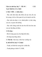 Giáo án sinh học lớp 7 - Tiết 49 : TẠO TRONG CỦA THỎ ppsx