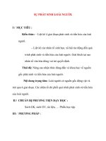 Giáo án Sinh Học lớp 12 Ban Tự Nhiên: SỰ PHÁT SINH LOÀI NGƯỜI. potx