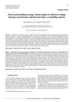 Báo cáo lâm nghiệp: 