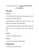 Giáo án môn sinh lớp 6 - Tiết 55: NGUỒN GỐC CÂY TRỒNG pot