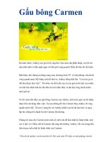 Gấu bông Carmen pps