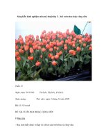 Sáng kiến kinh nghiệm môn mỹ thuật lớp 2 – bài vườn hoa hoặc công viên pptx