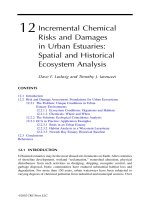 Coastal and Estuarine Risk Assessment - Chapter 12 docx