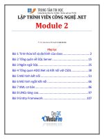 lập trình viên công nghệ.net module 2