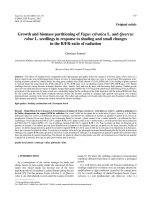 Báo cáo lâm nghiệp: