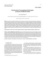 Báo cáo lâm nghiệp: 