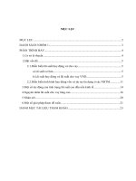 lãi suất tại các ngân hàng thương mại Việt Nam nam 2010 pps