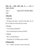 Giáo án môn sinh lớp 6 - Tiết 5 THỰC HÀNH potx