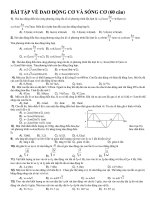 BÀI TẬP VỀ DAO ĐỘNG CƠ VÀ SÓNG CƠ (60 câu) docx