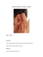 Sáng kiến kinh nghiệm y học đại học – bệnh điếc pot