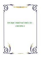 TIN HỌC THIẾT KẾ THẾ CẦU - CHƯƠNG 1 doc