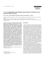 Báo cáo khoa học: 