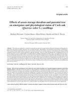 Báo cáo khoa học: 