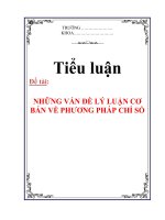 TIỂU LUẬN: NHỮNG VẤN ĐỀ LÝ LUẬN CƠ BẢN VỀ PHƯƠNG PHÁP CHỈ SỐ pdf