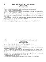 KIỂM TRA CHẤT LƯỢNG KHỐI 11 CƠ BẢN Môn: VẬT LÝ potx