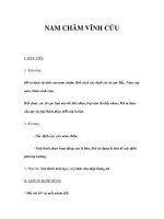 NAM CHÂM VĨNH CỬU ppt