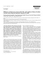 Báo cáo khoa học: 