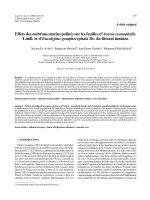 Báo cáo lâm nghiệp: 