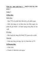 Giáo án môn sinh lớp 6 - THÂN DÀI RA DO ĐÂU? pot