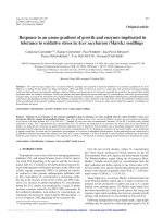 Báo cáo lâm nghiệp: 