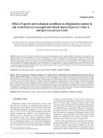 Báo cáo lâm nghiệp: 