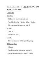 Giáo án môn sinh lớp 6 - Tiết 40: HẠT VÀ CÁC BỘ PHẬN CỦA HẠT ppsx