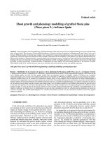 Báo cáo lâm nghiệp: