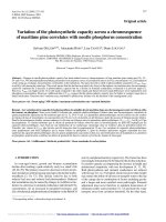 Báo cáo lâm nghiệp: 