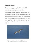 Chụp ảnh ngày hè ppsx