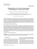 Báo cáo lâm nghiệp: 