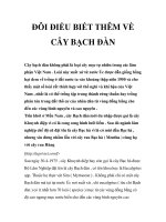 ĐÔI ĐIỀU BIẾT THÊM VỀ CÂY BẠCH ĐÀN ppt