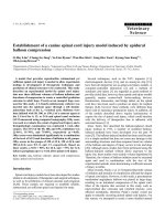 Báo cáo khoa học: 