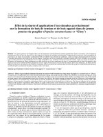 Báo cáo lâm nghiệp: