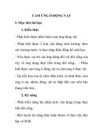 CẢM ỨNG Ở ĐỘNG VẬT docx